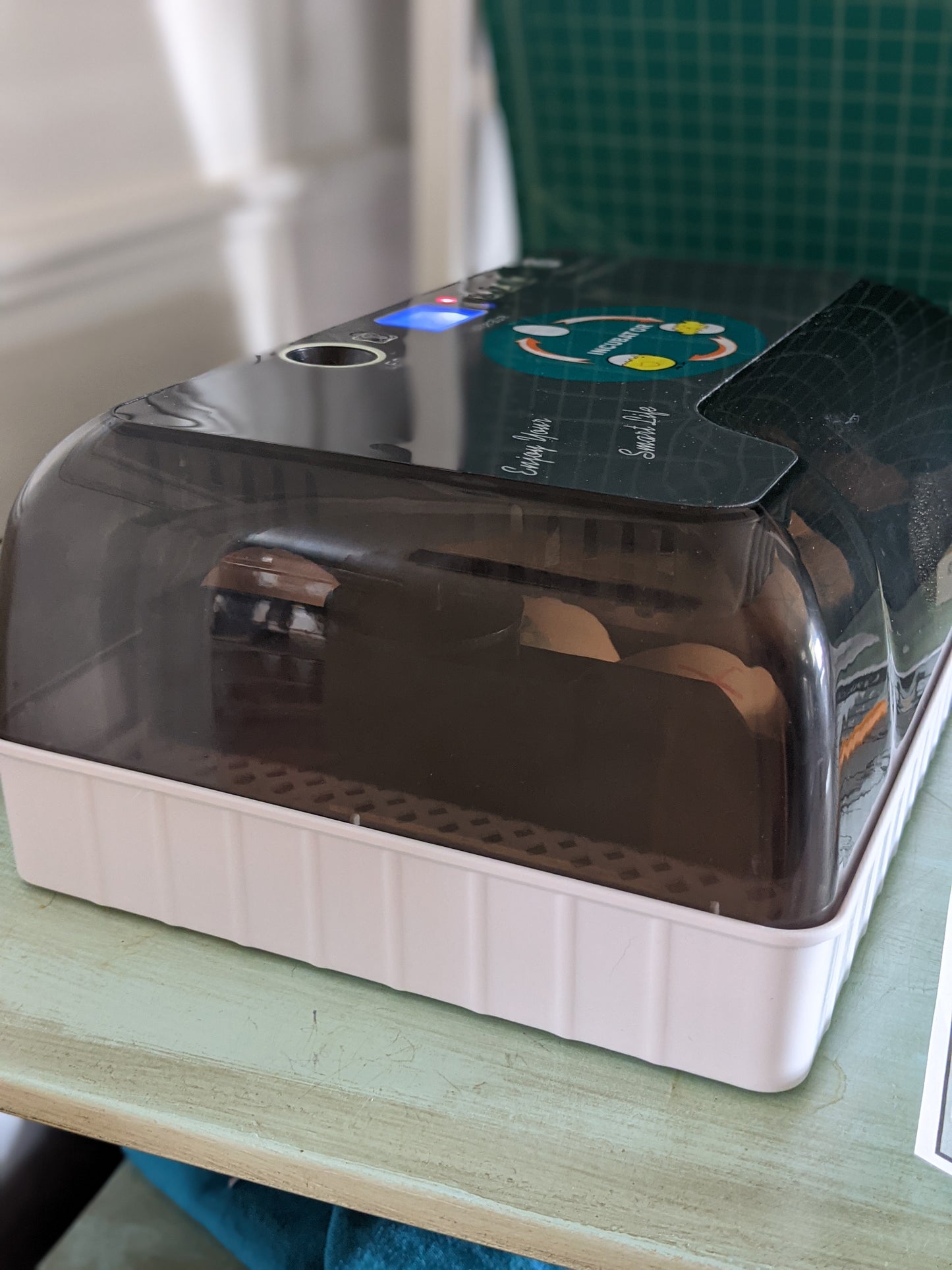 Chicken Incubator Printable