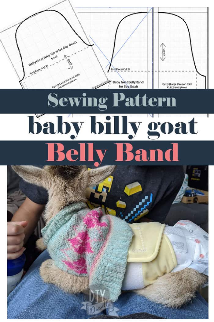 Belly Band Pattern for a Baby Goat - Do-It-Yourself Danielle