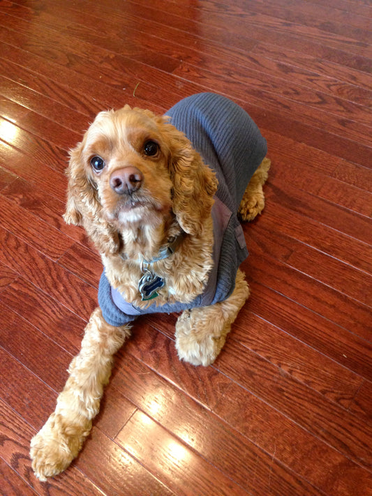 Dog Coat Sewing Pattern- Medium Size Dog