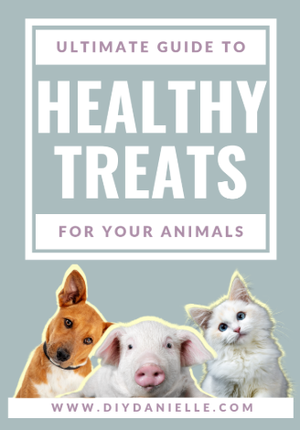 Treats Animals Can Eat - Printable Guide for Safe Pet Snacks