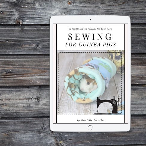 eBook: Sewing for Guinea Pigs - Do-It-Yourself Danielle